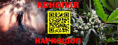 ешки Аргун