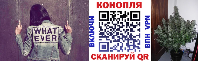 что такое наркотик  Благодарный  Конопля индика 